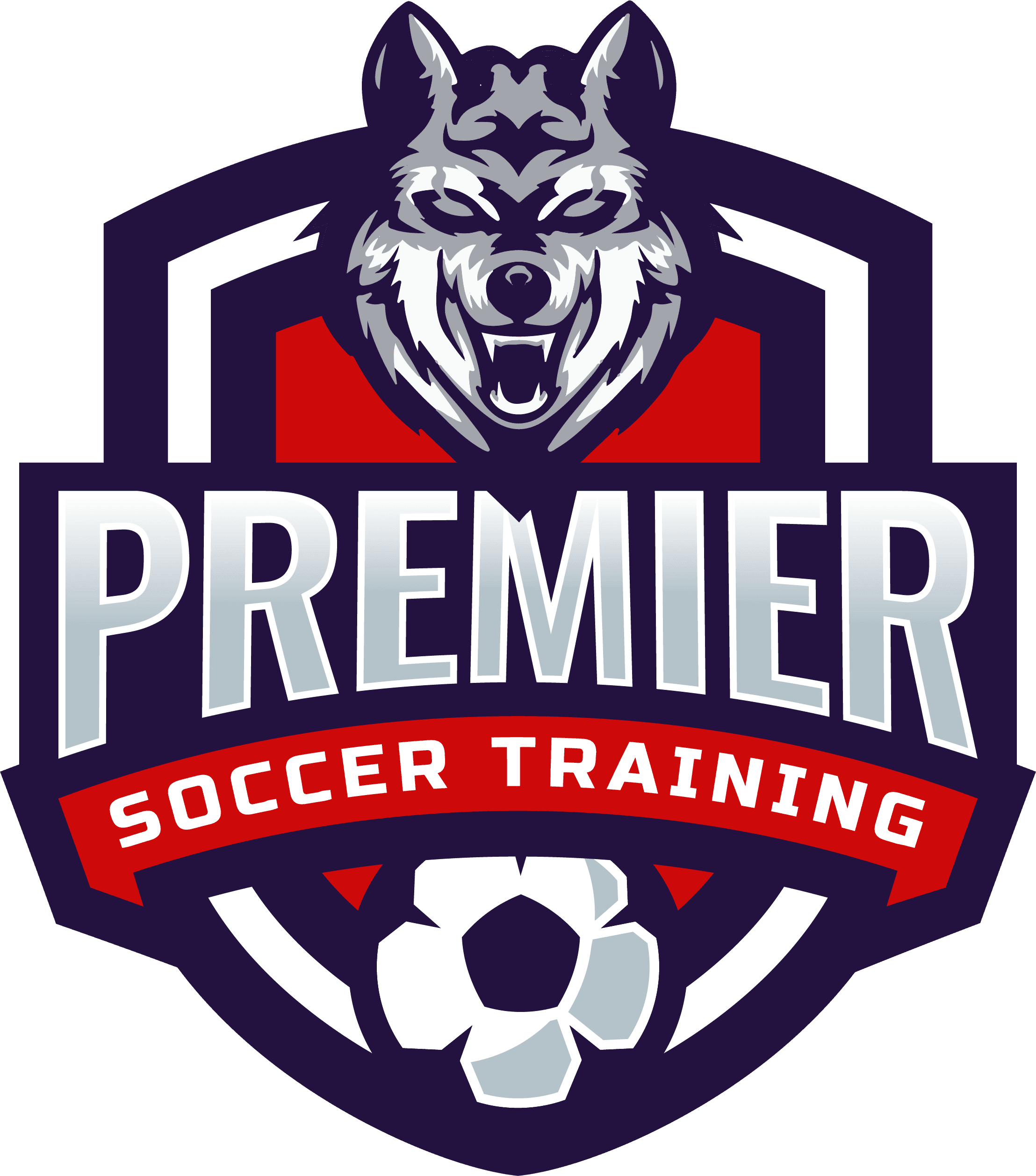 Premier Soccer Training logo